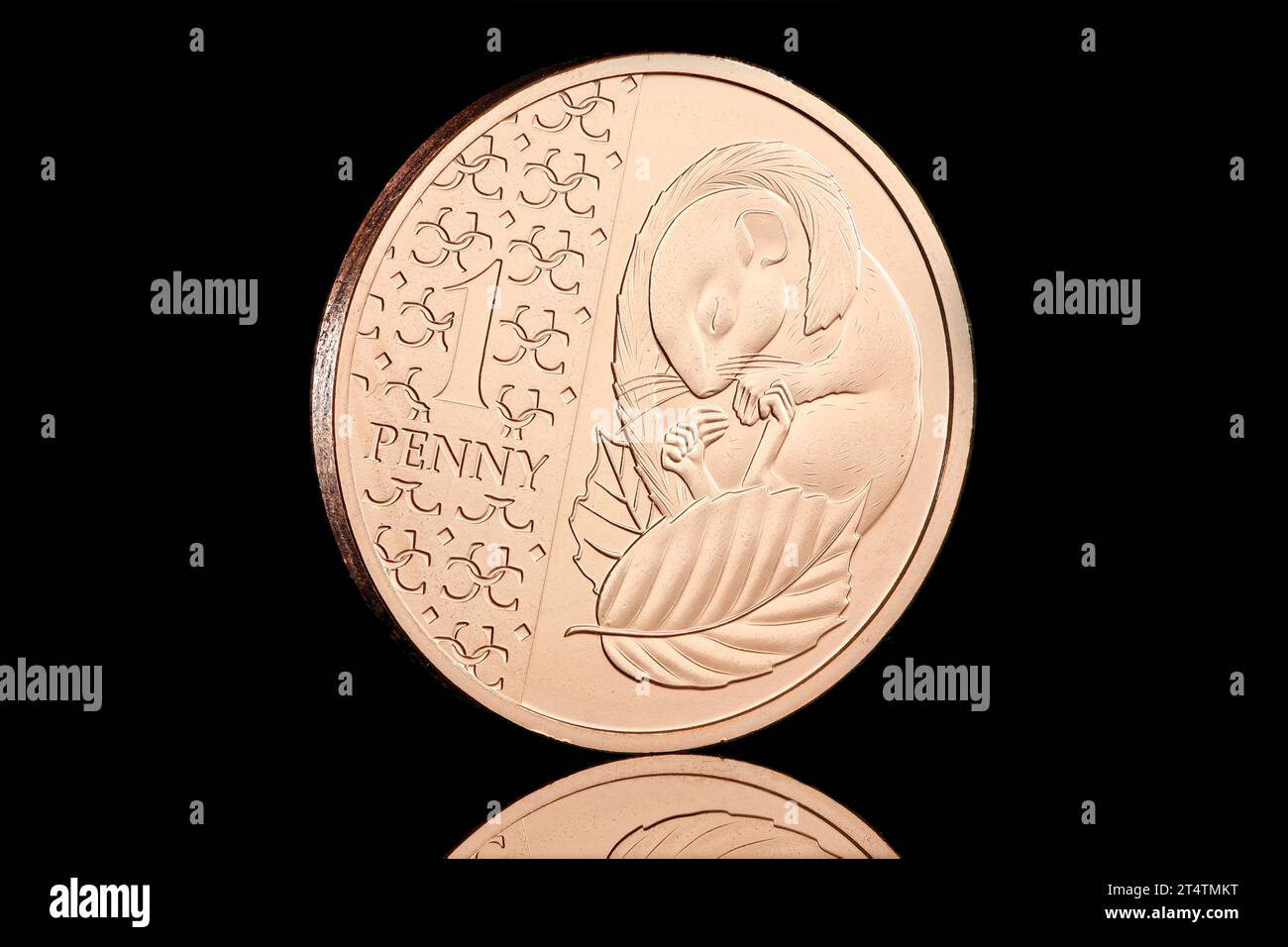 Die neue 1-Penny-Münze und die erste, die König Karl III. Zeigt Das umgekehrte Design ist eine schlafende Türmaus Stockfoto