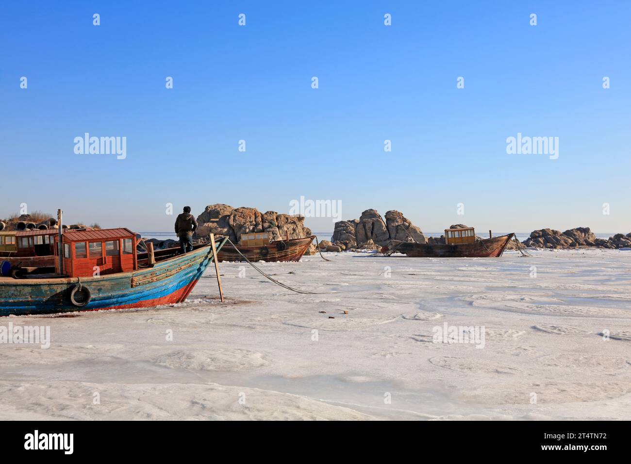 Holz und Riff in Eis und Schnee, Nahaufnahme des Fotos Stockfoto
