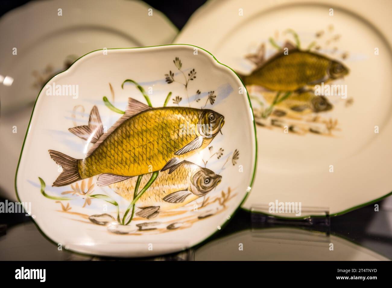 Porzellan aus der Tirschenreuther Porzellan Manufaktur mit Fischmotiven, hier Karpfen. Tirschenreuth, Deutschland Stockfoto