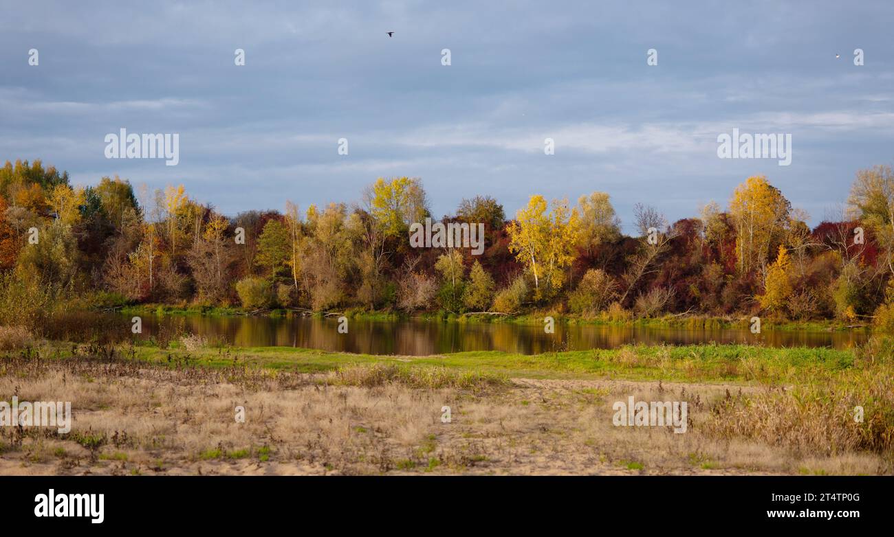 Herbstlandschaft mit See, Bäumen und Himmel, die sich im Wasser spiegeln. Der Fluss Narew in Polen Stockfoto
