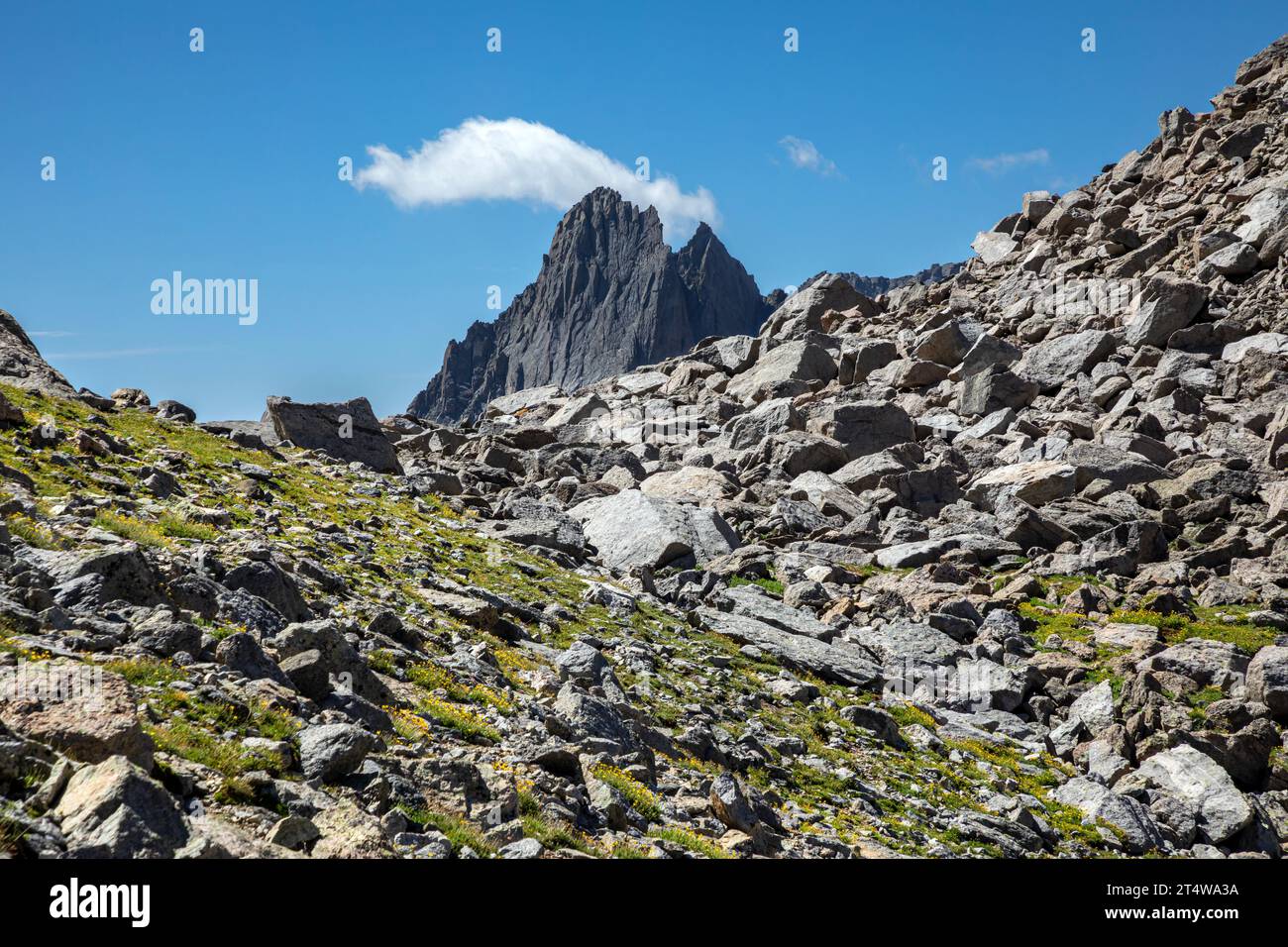 WY05533-00...WYOMING - Blick vom Gipfel des 447 Meter hohen Texas Pass in der Wind River Range. Stockfoto