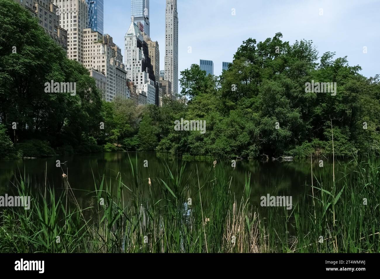 Blick auf die Skyline von Manhanttan vom Teich aus, einem von sieben Wasserkörpern im Central Park, in der Nähe des Grand Army Plaza, Central Park South Stockfoto