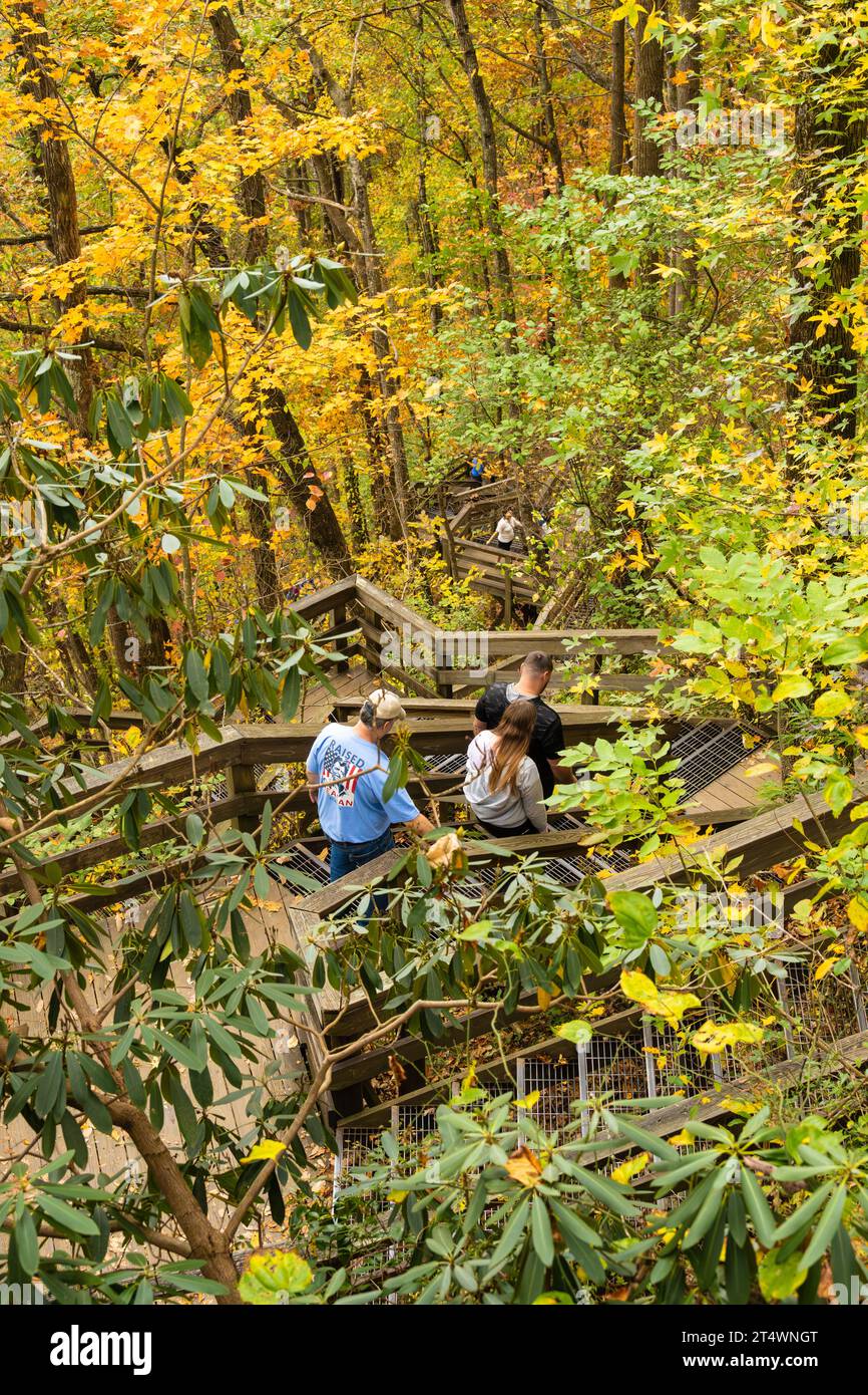 Die verwinkelten, Serpentinen der Amicalola Falls, die in den wunderschönen Farben des Herbstblatts in den Blue Ridge Mountains in Nordgeorgien eingehüllt sind. (USA) Stockfoto