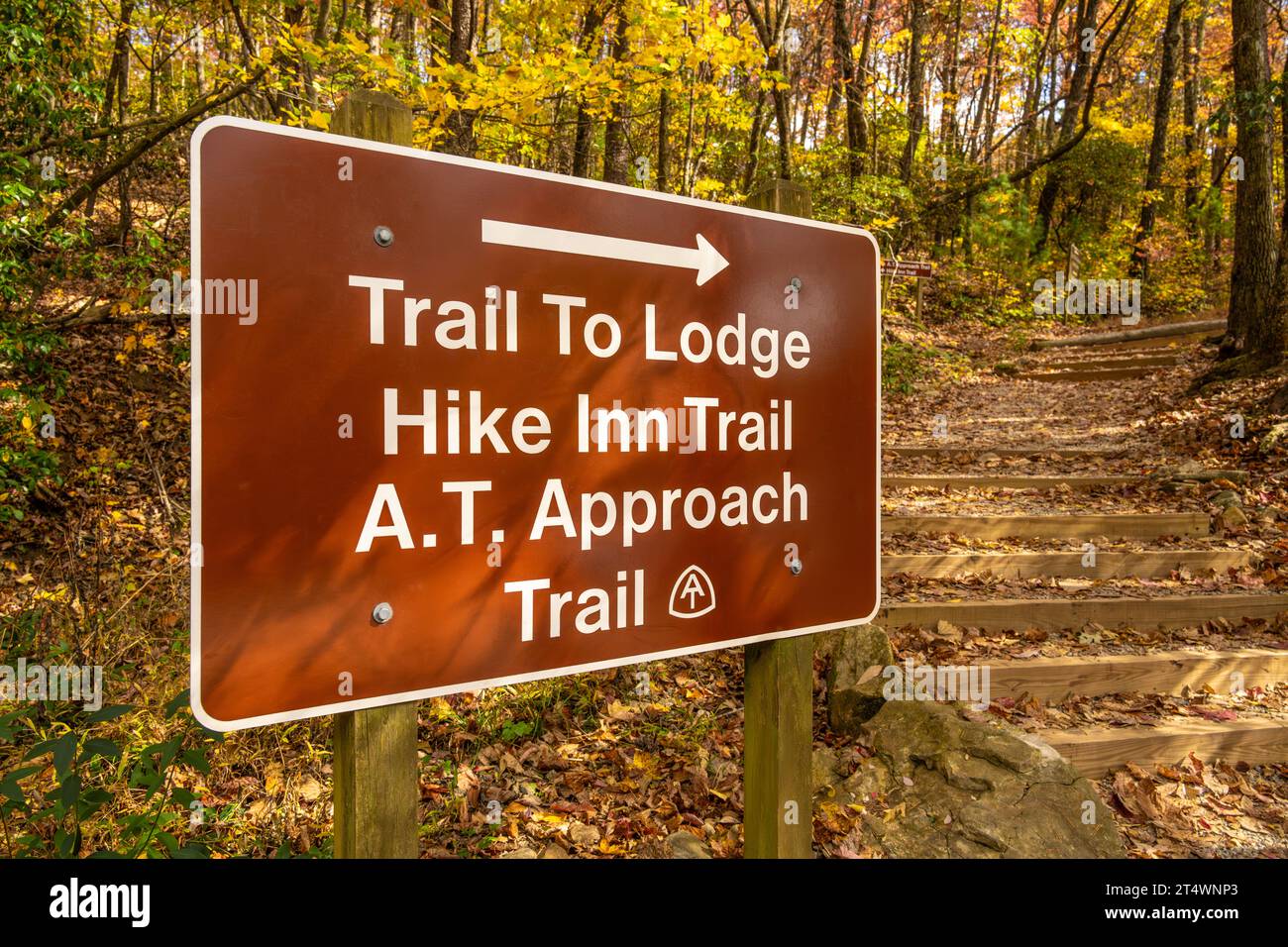 Der Amicalola Falls State Park führt zur Lodge, zum Len Foote Hike Inn und zum südlichen Ende des Appalacian Trail in Nord-Georgia. Stockfoto