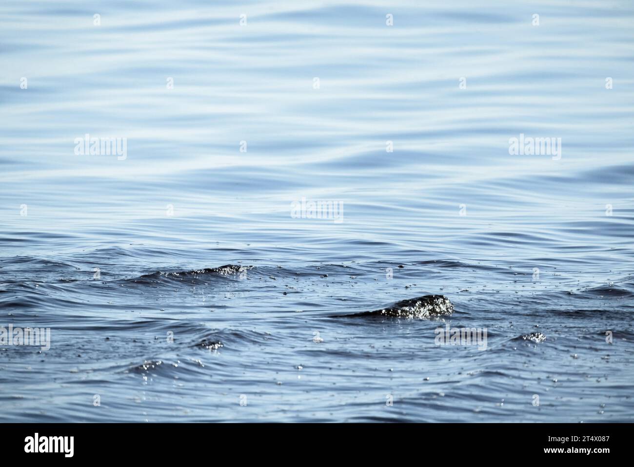 Hellblaue Meerwasseroberfläche mit kleinen Wellen, natürliche Hintergrundfotostruktur Stockfoto