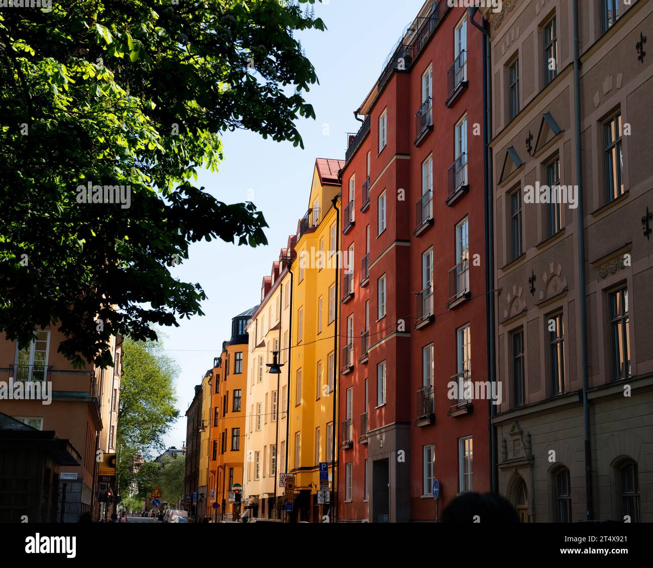 Die Mittagssonne erleuchtet die lebhaften Stockholmer Häuser. Ein Farbstoß, urbaner Charme und ein Hauch von Natur mit einem grünen Baum im Vordergrund. Stockfoto