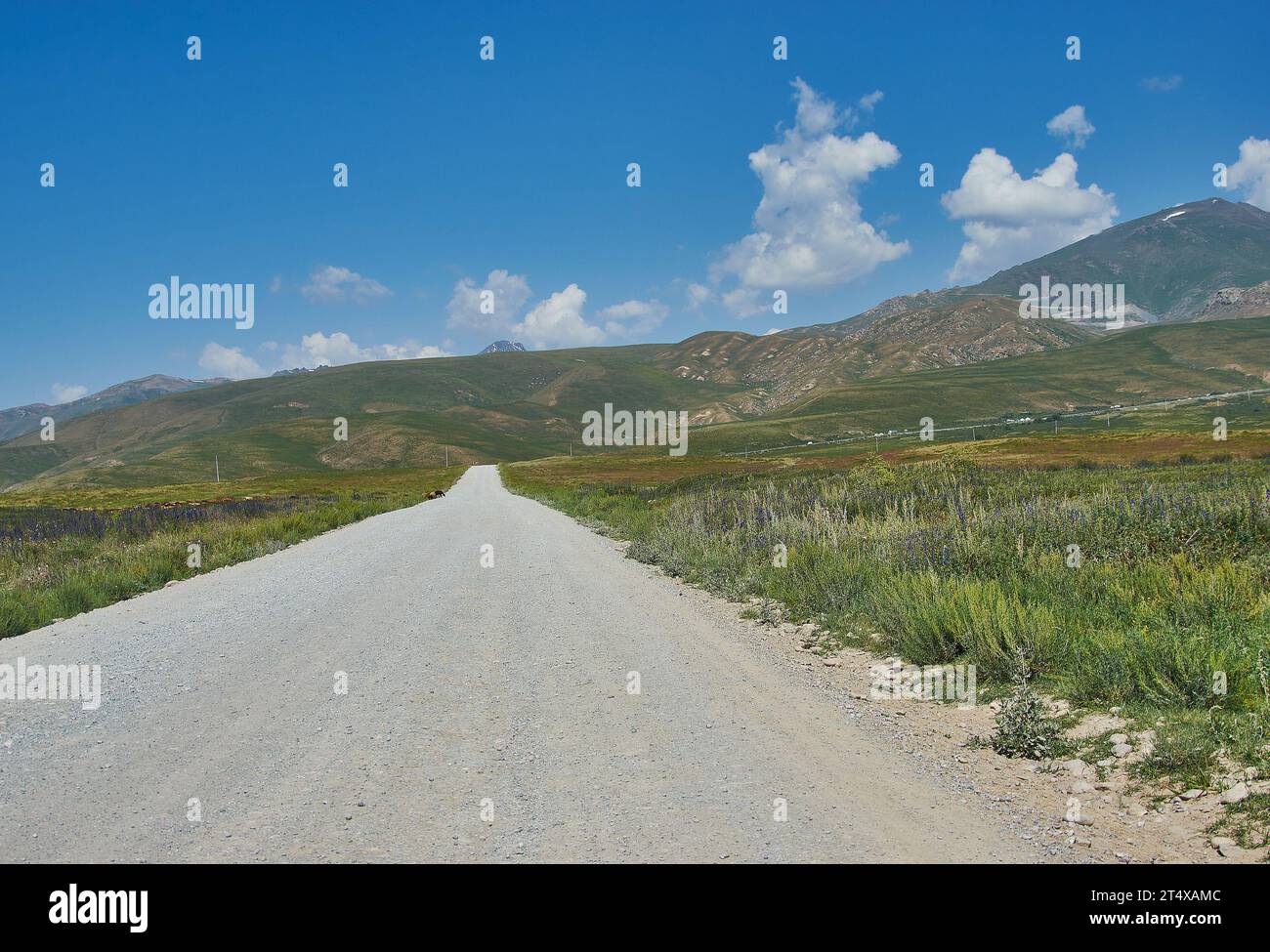Suusamyr Tal, Berglandschaft. Kirgisistan. Stockfoto Suusamyr Tal, Berglandschaft. Kirgisistan. Stockfoto