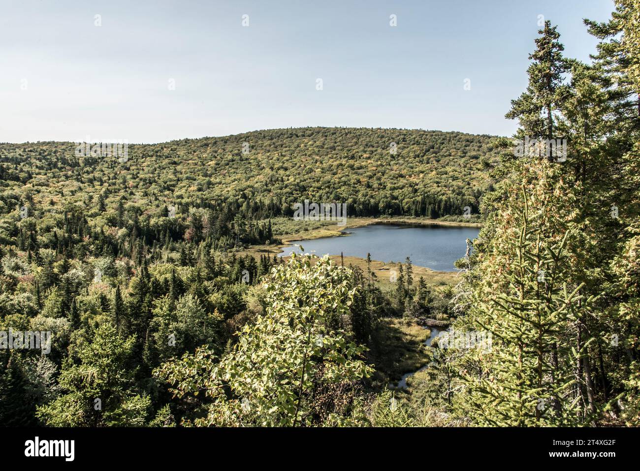 Blick auf den Wald in der Nähe des Sees im La Mauricie National Park Quebec, Kanada an einem wunderschönen Tag. Stockfoto