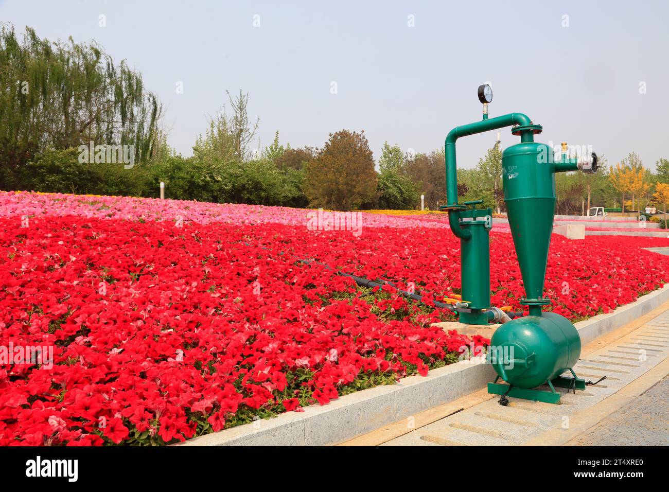 Gartenmaschinen und -Geräte im Garten Stockfoto