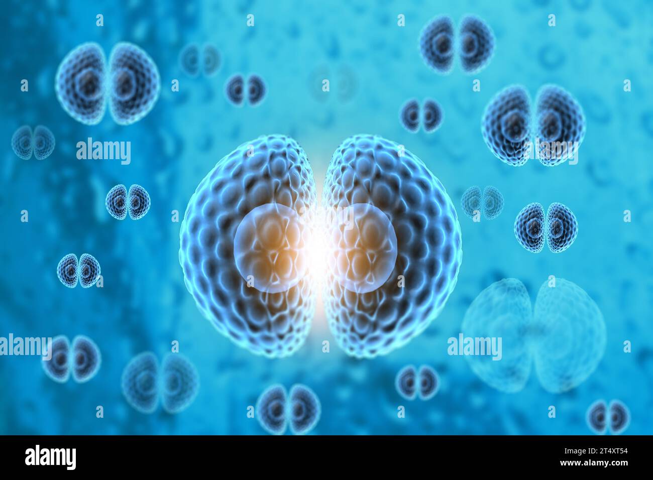 Menschliche Zellteilung mit wissenschaftlichem Hintergrund. 3D-Rendering Stockfoto