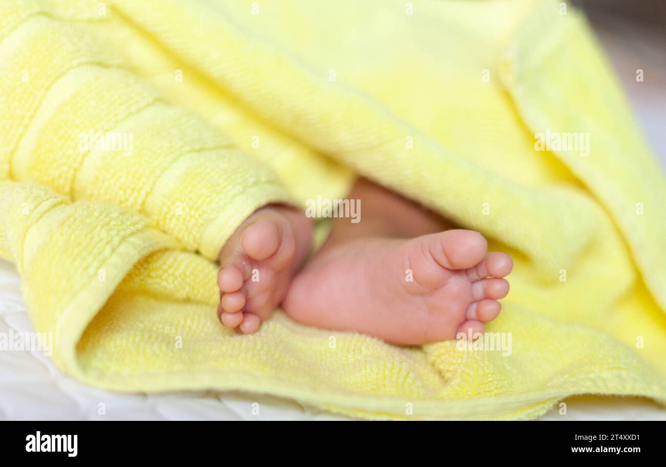 Eine Nahaufnahme von winzigen Babys Füße Stockfoto