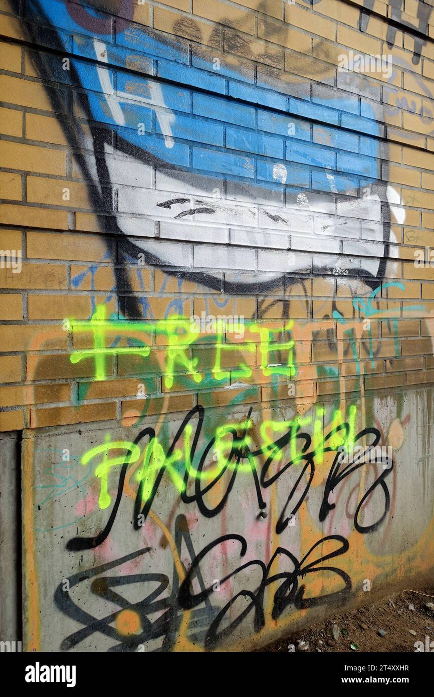 Schriftzug FREE PALESTIN unter der Abbildung der Flagge von Hertha BSC Fußballclub der Hauptstadt - Wandbotschaft - Auflösung Israels als eigenständiger Staat - Berlin, Deutschland, DEU, DE, 01.11.2023 - Berlin-Mitte: Politischer Protest im öffentlichen Raum für die Freiheit Palästinas. 7. Oktober überfiel die islamistische Terrororganisation Hamas den Staat Israel. Das Ziel der Hamas ist die Zerstörung Israels. Die islamische Hamas strebt die Errichtung eines islamischen Gottesstaates Palästina an. Die Hamas ist eine palästinensische, national-islamistische Organisation. *** Schriftzug FR Stockfoto