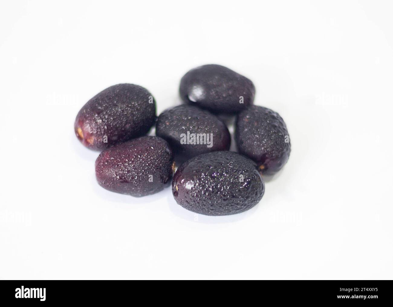 Pflaume, Jamun, Prunus. Das Fleisch ist fest und saftig. Die Schale der Frucht ist glatt und hat eine natürliche, wachsartige Oberfläche, die am Fruchtfleisch haftet. Stockfoto