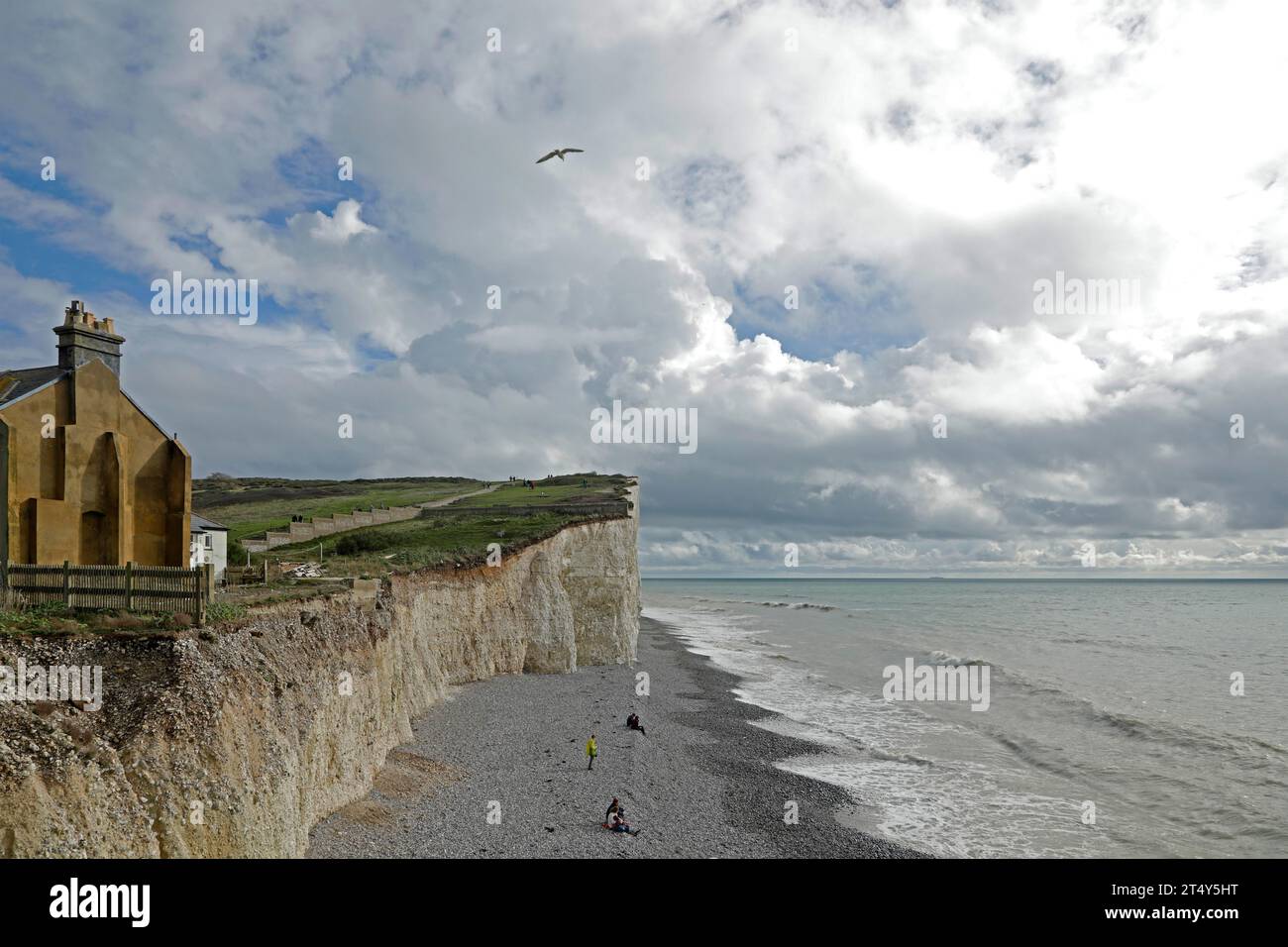 Wolken, Meer, Haus, Möwe, Birling Gap, Sieben Schwestern, East Sussex, England, Großbritannien Stockfoto