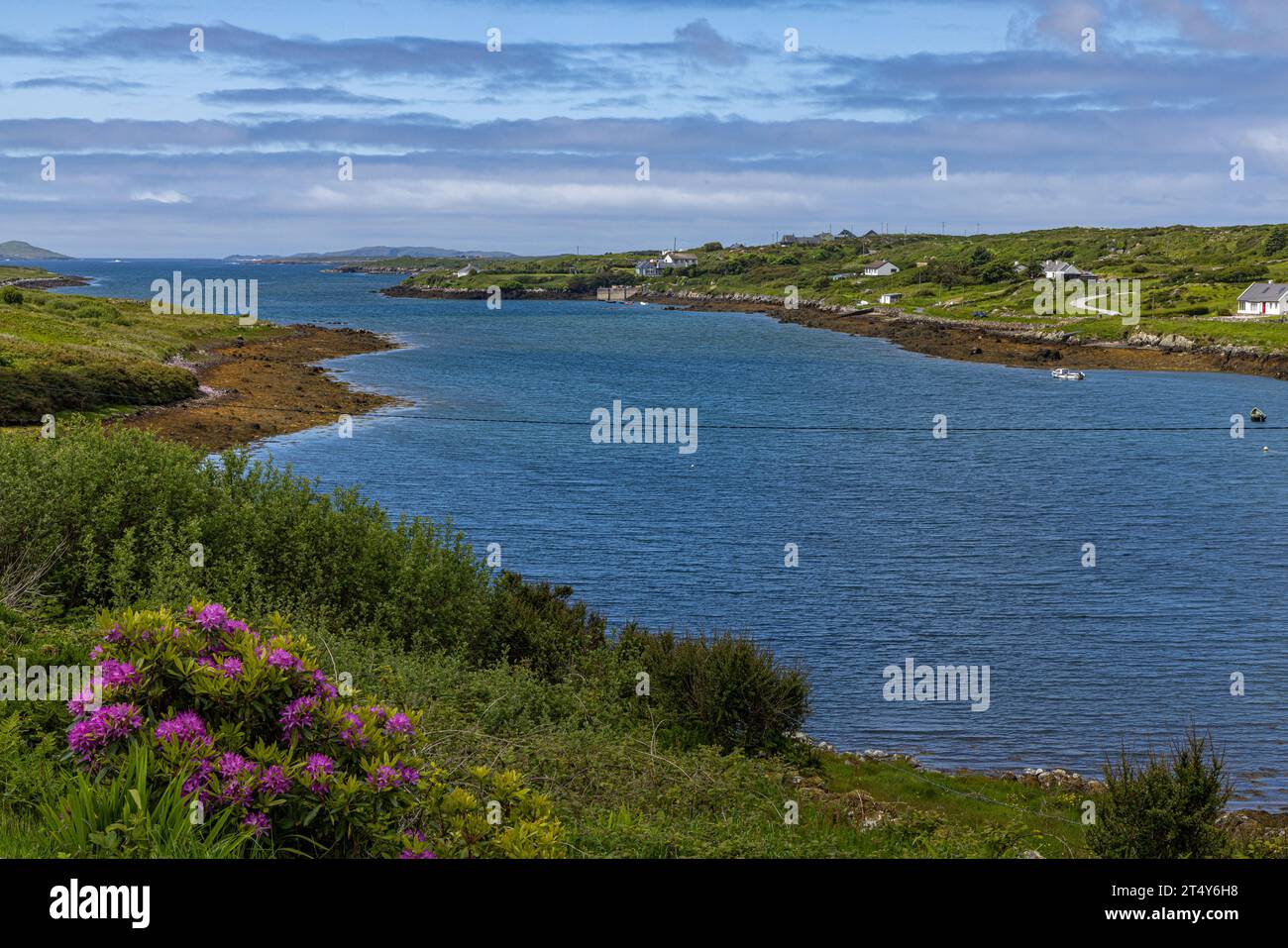 An der Connemara-Küste Stockfoto