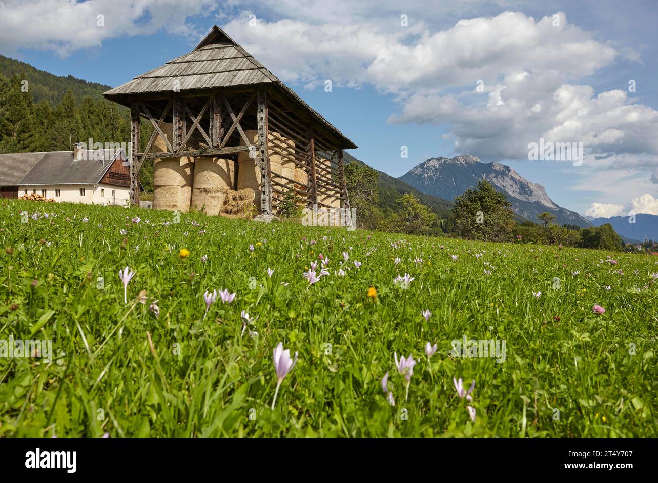 Harfe für Heu, Gailtal, Kärnten, Österreich Stockfoto