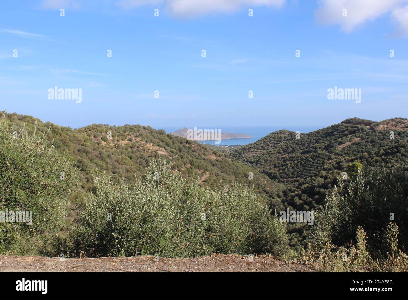 Spaziergang auf Kreta - Blick auf die Insel Agioi Theodoroi vor der Küste bei Agia Marina, Kreta, Griechenland Stockfoto