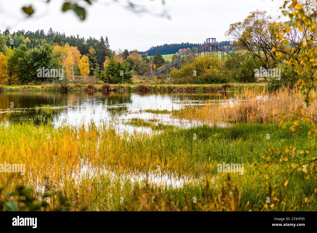 Tirschenreuther Teichpfanne, Teich mit breiter Sedimentationszone von Gräsern, im Hintergrund die Aussichtsplattform Himmelsleiter.Tirschenreuth, Deutschland Stockfoto