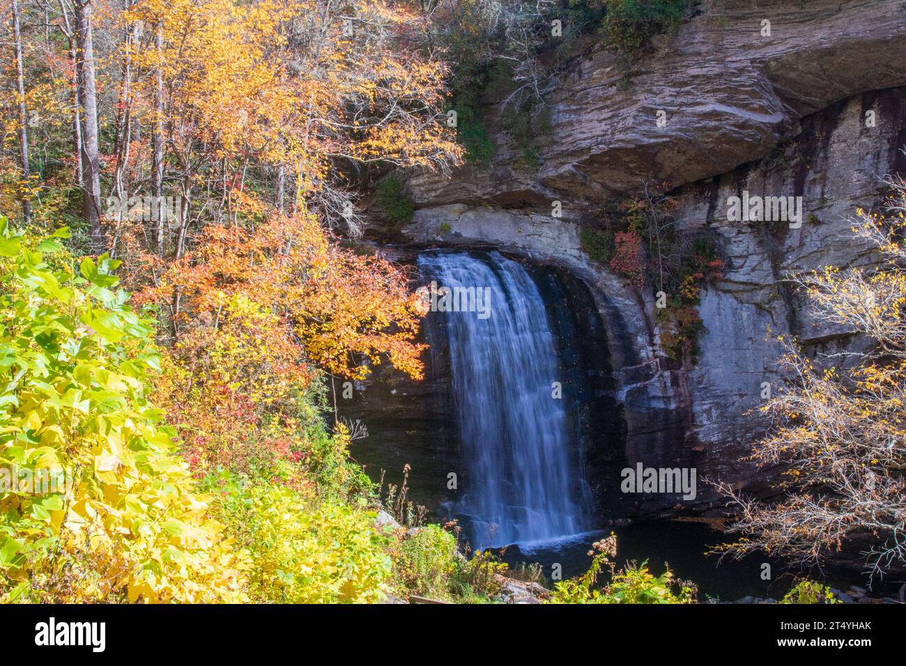 Blick auf die Glass Falls im Herbst in den Blue Ridge Mountains Stockfoto