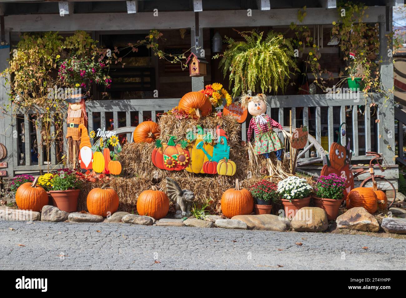 Herbstfarben in den Blue Ridge Mountains Stockfoto