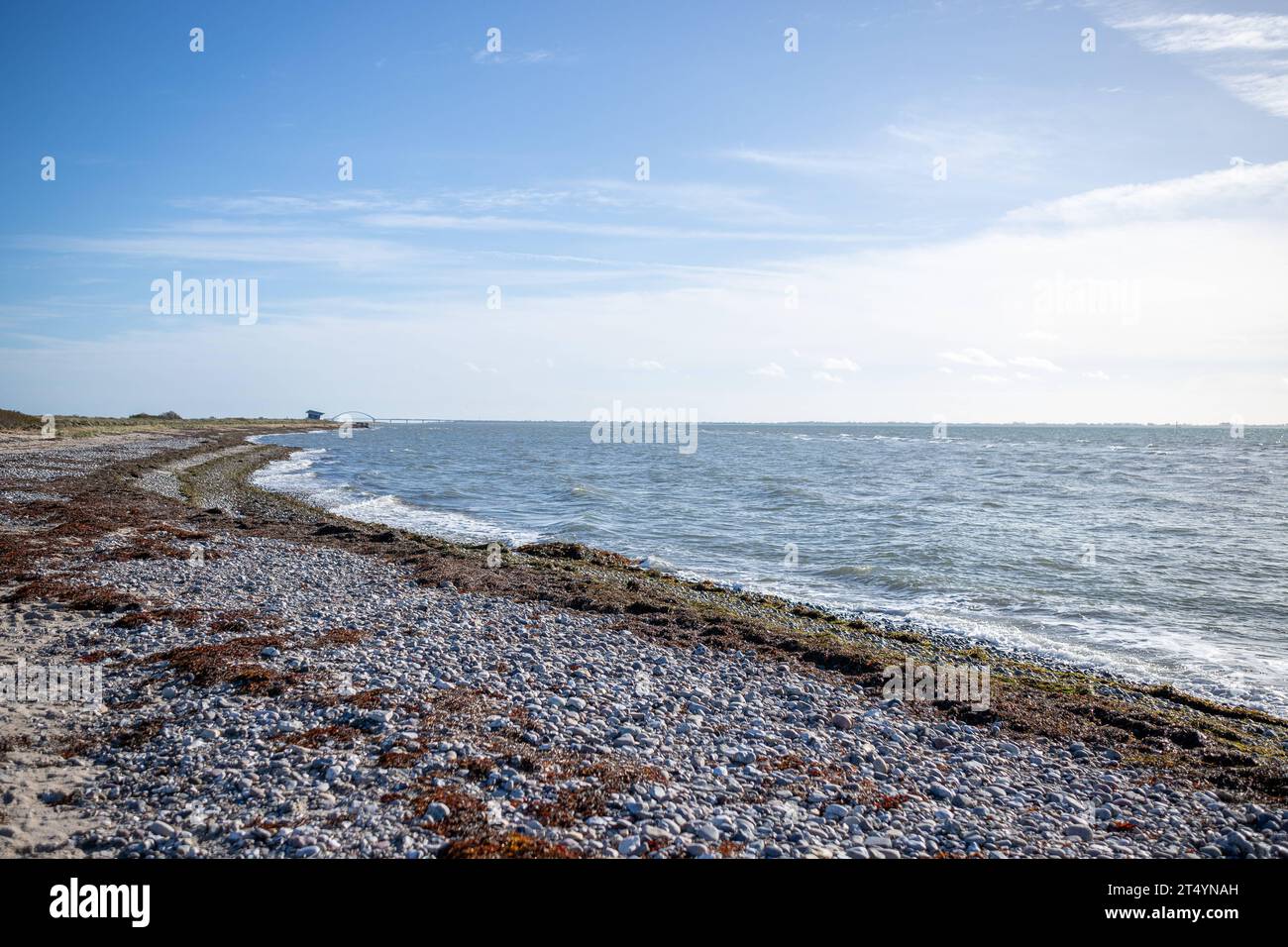 Am Weststrand von Fehmarn mit Blick auf die Fehmarnsundbrücke Insel Fehmarn, Schleswig-Holstein, Kreis Ostholstein, Ostsee, Urlaub, Tourismus, Ausflug, Fehmarn *** am Weststrand von Fehmarn mit Blick auf die Fehmarnsund Brückeninsel Fehmarn, Schleswig Holstein, Ostholstein, Ostsee, Urlaub, Tourismus, Ausflug, Fehmarn Credit: Imago/Alamy Live News Stockfoto