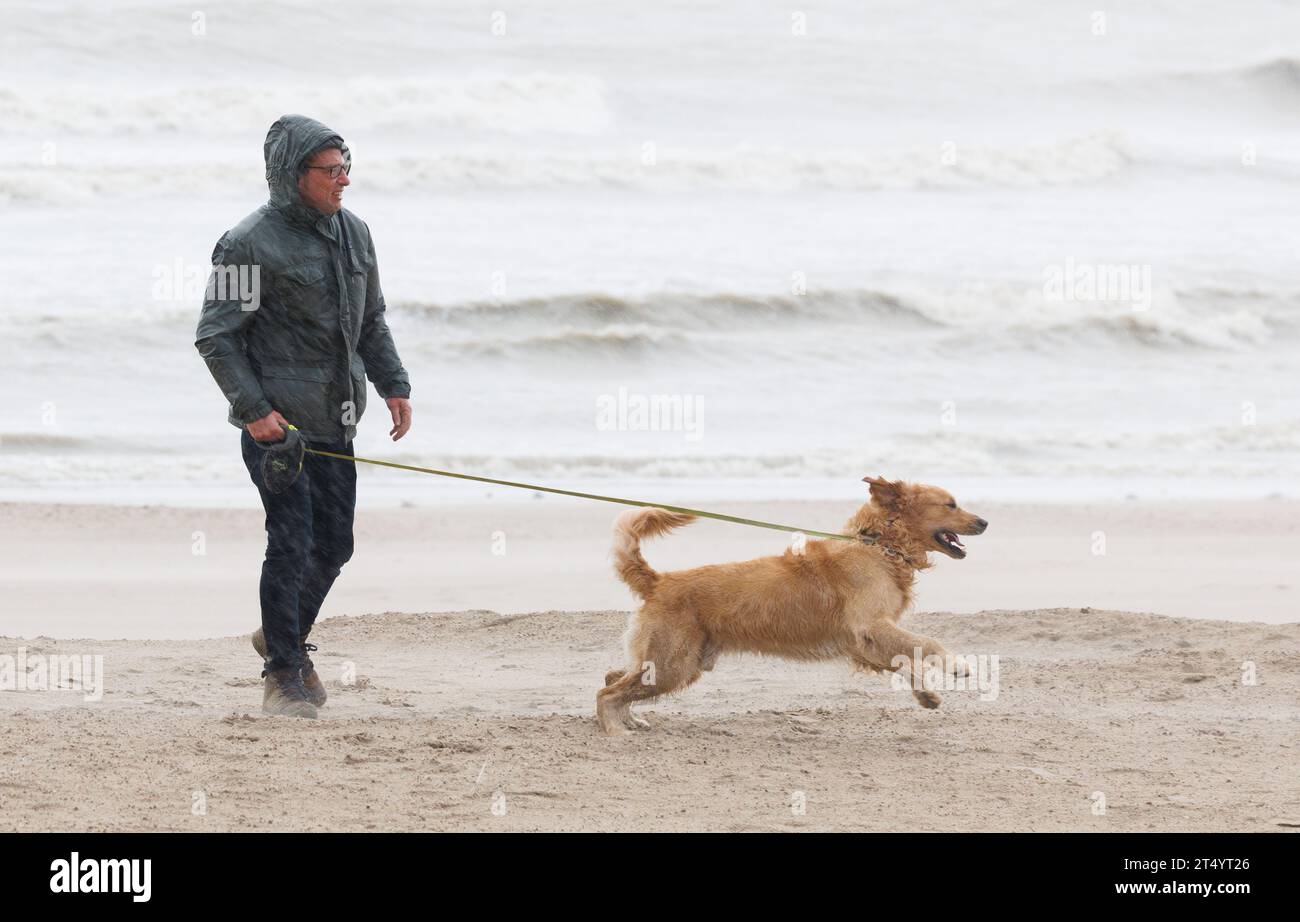 Middelkerke, Belgien. November 2023. Die Abbildung zeigt einen Mann, der mit einem Hund im Sand läuft, während der Sturm Ciaran mit starkem Wind erwartet wird, in Middelkerke am Donnerstag, den 2. November 2023. BELGA FOTO BENOIT DOPPAGNE Credit: Belga News Agency/Alamy Live News Stockfoto