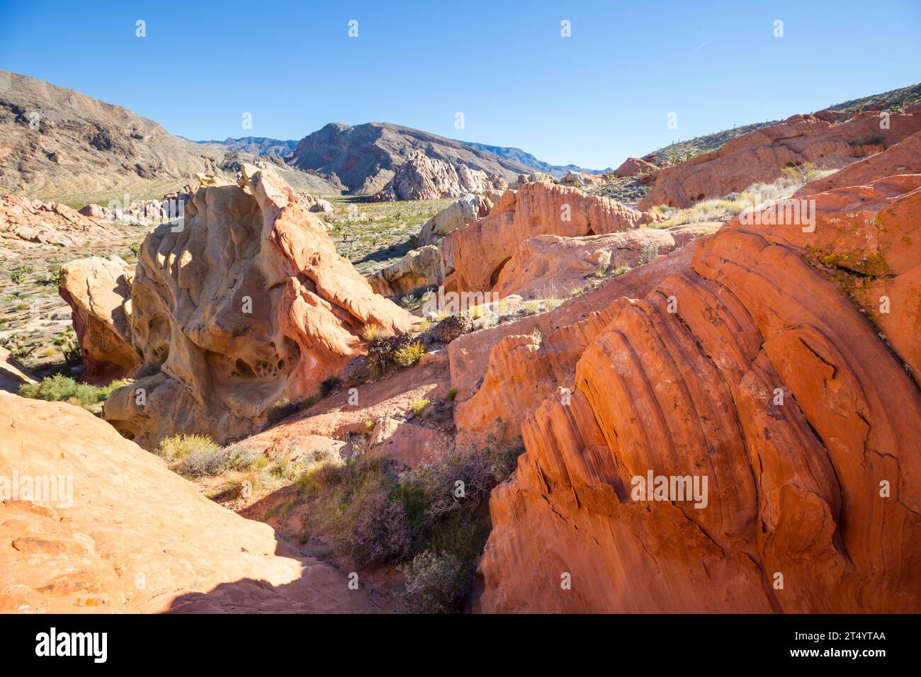 Felsvorsprung im Gold Butte National Monument, Nevada, USA. Stockfoto