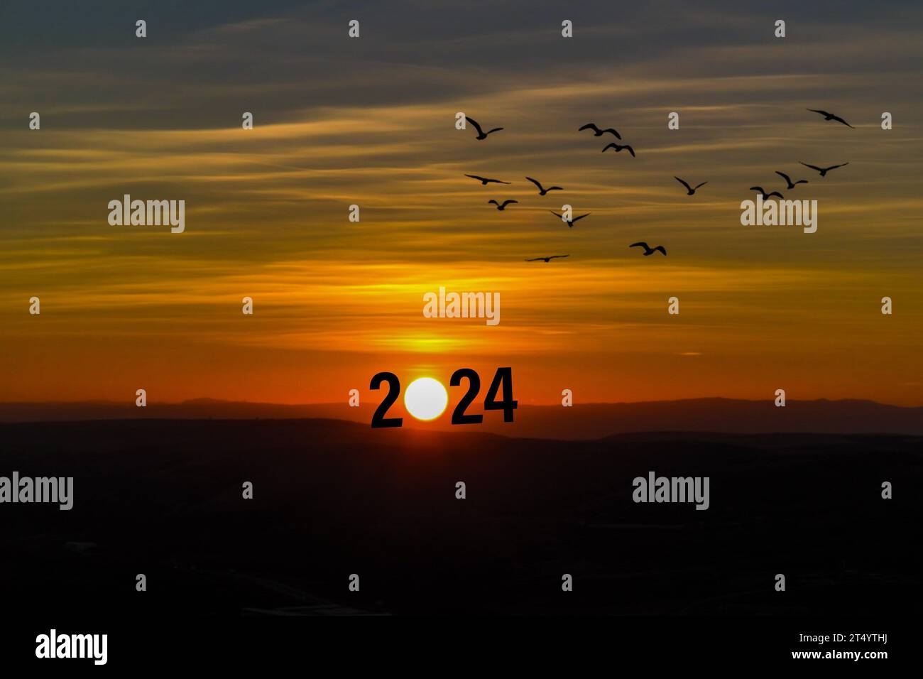 Übergang von 2023 zu Neujahr 2024 Konzept mit Text zum Sonnenaufgang. Das Leben ist kurz Vögel fliegen. Stockfoto