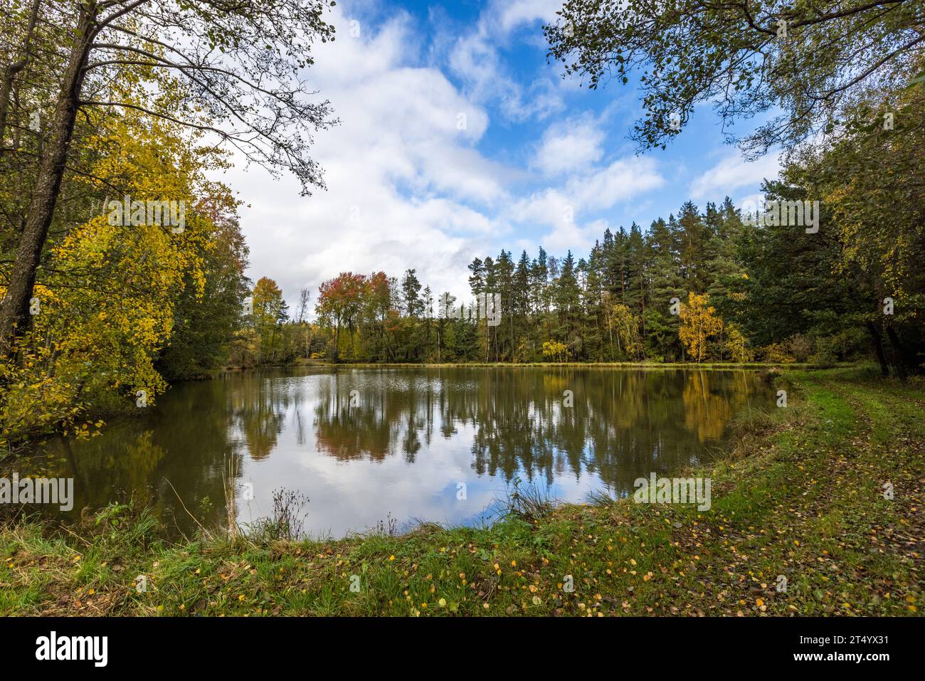 Viele Teiche in der Waldnaabaue sind bereits mehrere Jahrhunderte alt. Die Karpfenteiche der Oberpfalz bilden eine der ältesten Kulturlandschaften Europas. Wiesau (VGem), Bayern, Deutschland. Stockfoto