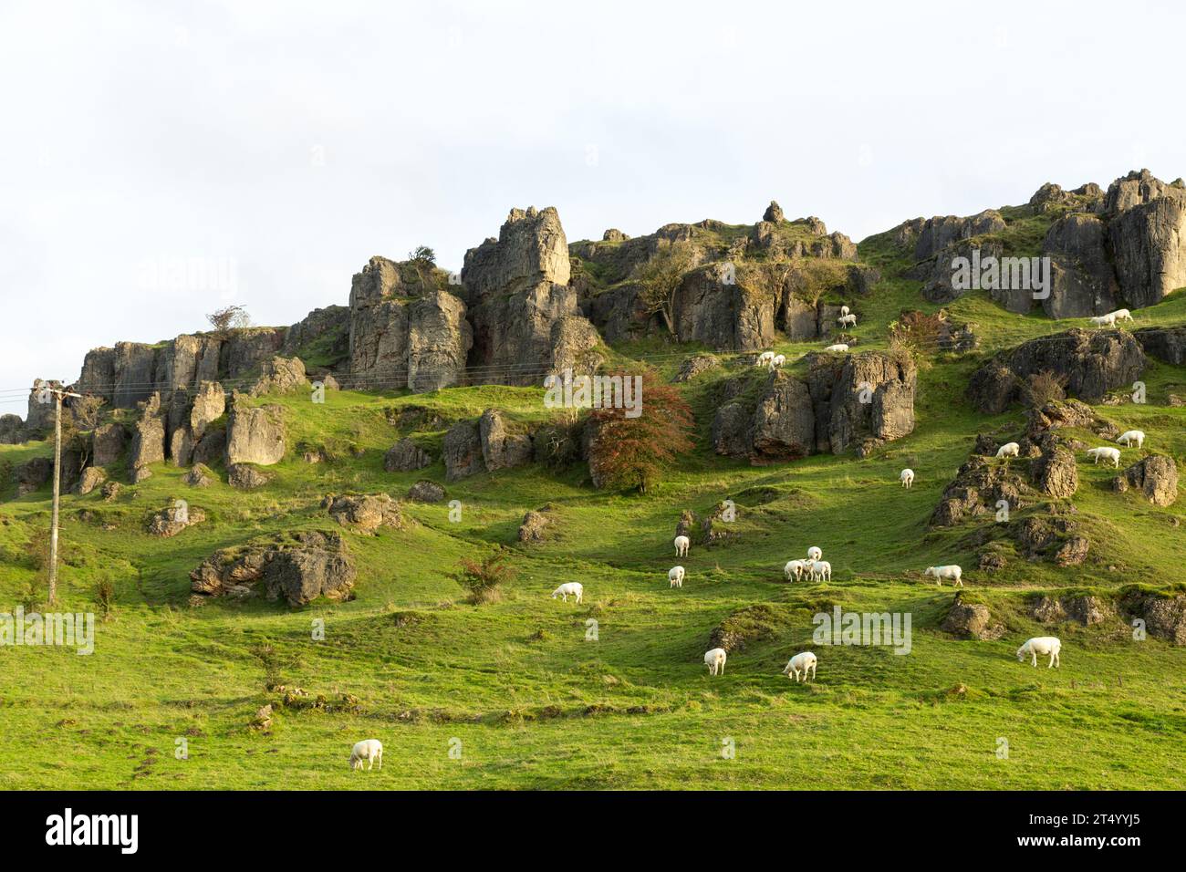 Harboro’ Rocks (oder Harborough Rocks) ist ein dolomitischer Kalkstein-Hügel in der Nähe des Dorfes Brassington im Derbyshire Peak District Stockfoto