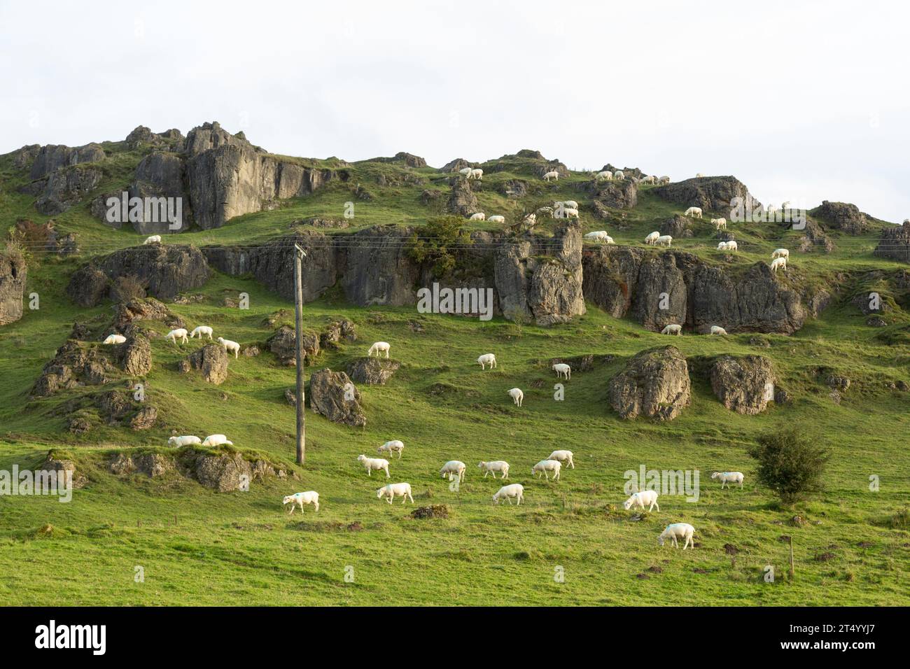 Harboro’ Rocks (oder Harborough Rocks) ist ein dolomitischer Kalkstein-Hügel in der Nähe des Dorfes Brassington im Derbyshire Peak District Stockfoto
