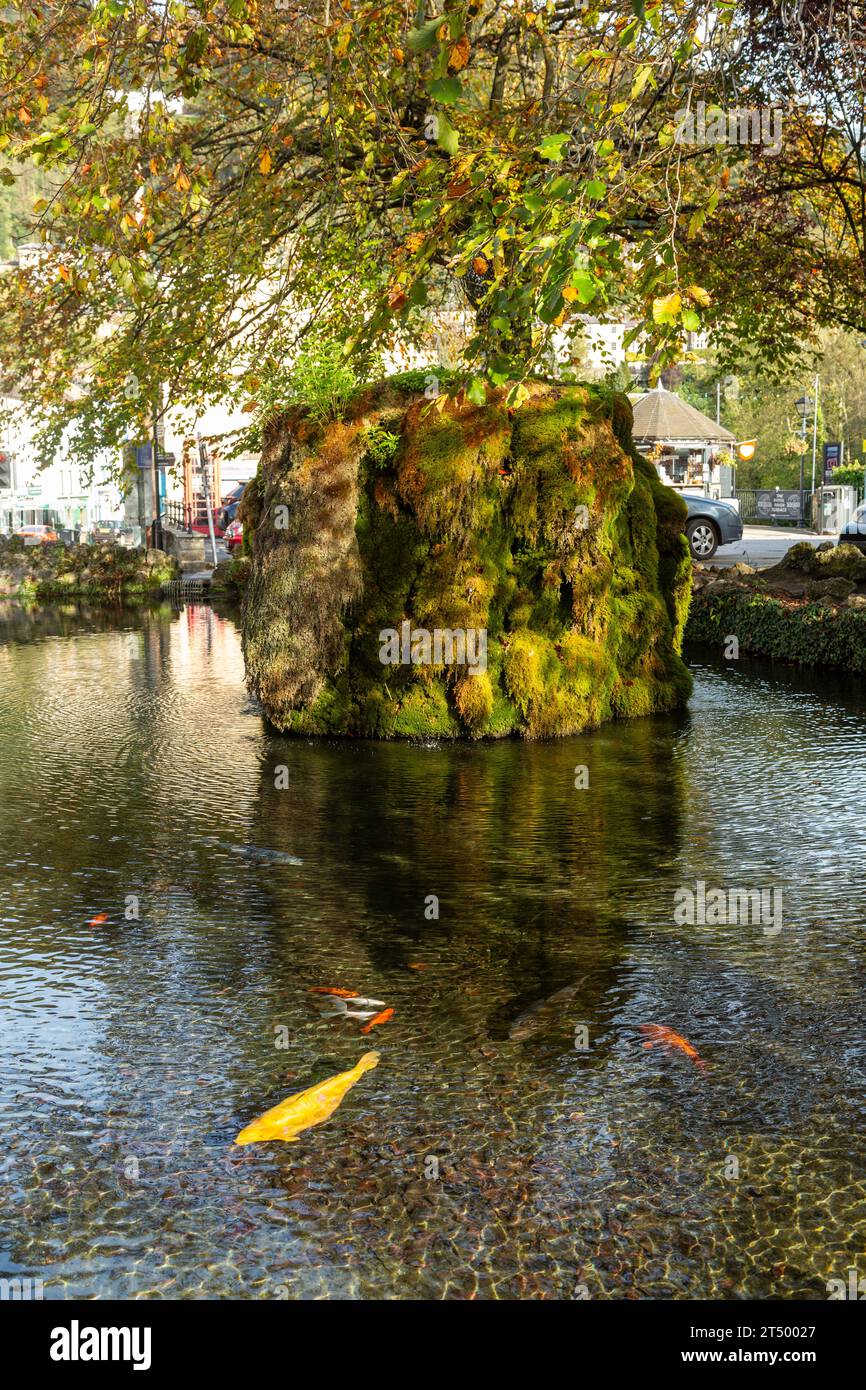 Der mit Moos bedeckte Brunnen im Fish Pond in Matlock Bath, Derbyshire, England Stockfoto