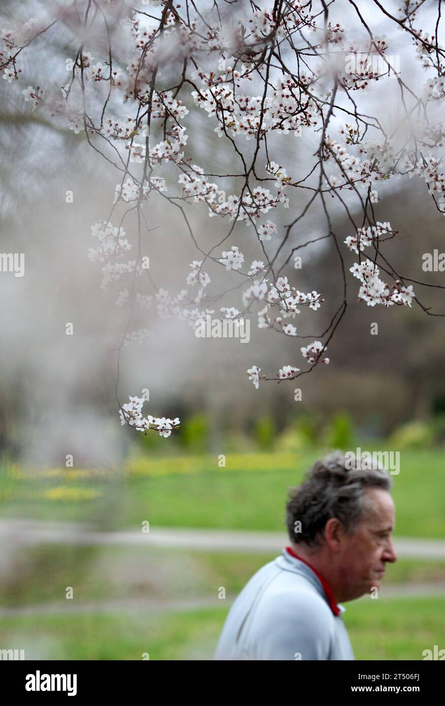 Blumen blühen, während die Menschen ihre Zeit im Regent’s Park in London verbringen. Stockfoto