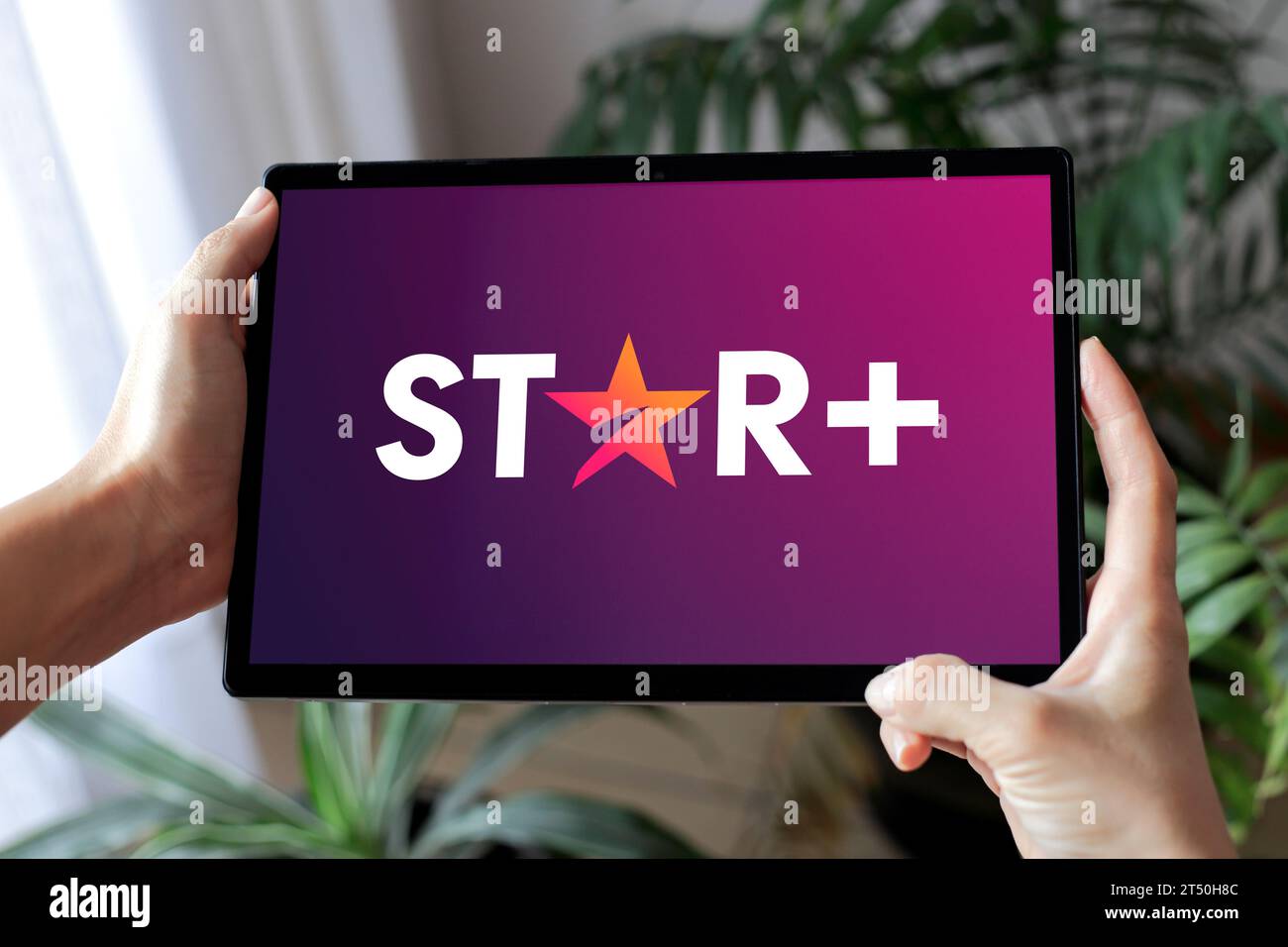 Frau, die ein Tablet mit dem Star Plus-Video-Streaming-Service-Logo auf dem Bildschirm hält. ROSARIO, ARGENTINIEN - 2. NOVEMBER 2023. Stockfoto