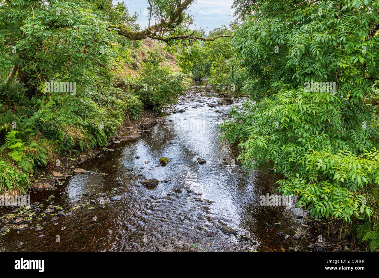 Glenlussa Water in der Nähe des Wasserkraftwerks Lussa auf der Halbinsel Kintyre, Peninver, Argyll & Bute, Schottland Großbritannien Stockfoto