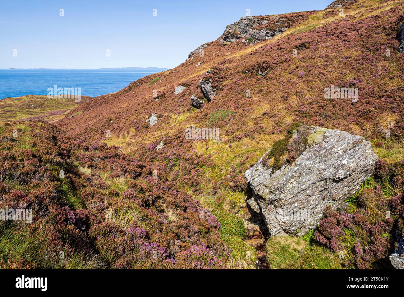 Ein felsiger Ausläufer am Mull of Kintyre auf der Kintyre Peninsula, Argyll & Bute, Schottland, Großbritannien Stockfoto