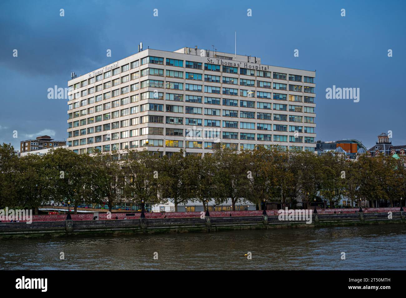 St. Thomas' Hospital London. Das St Thomas’s Hospital ist ein großes NHS-Lehrkrankenhaus am Ufer der Themse in Zentral-London. Stockfoto