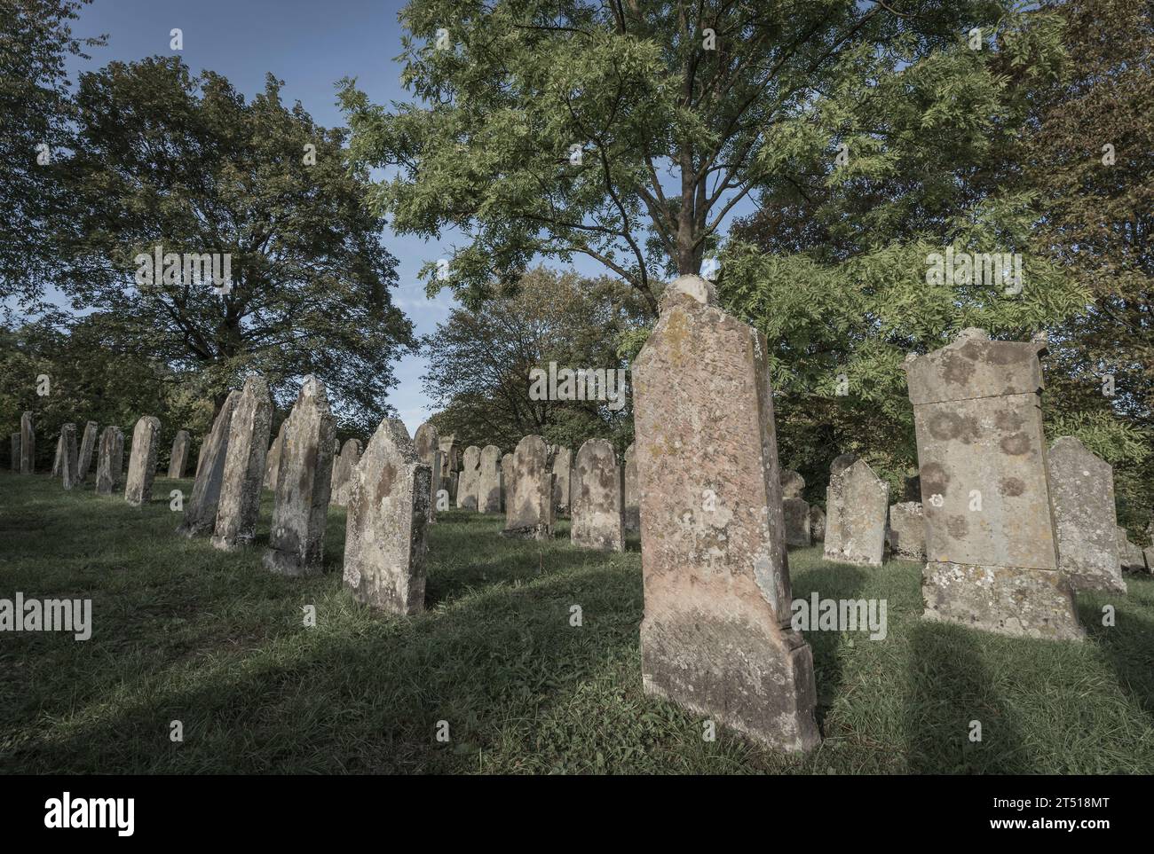 Historischer jüdischer Friedhof Stockfoto