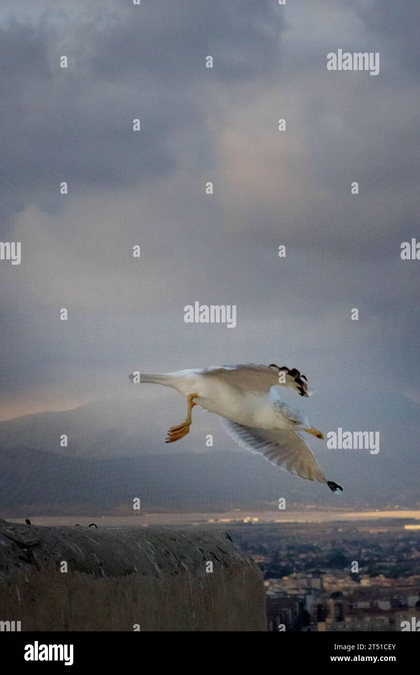 Abhauen, körnig. Stockfoto