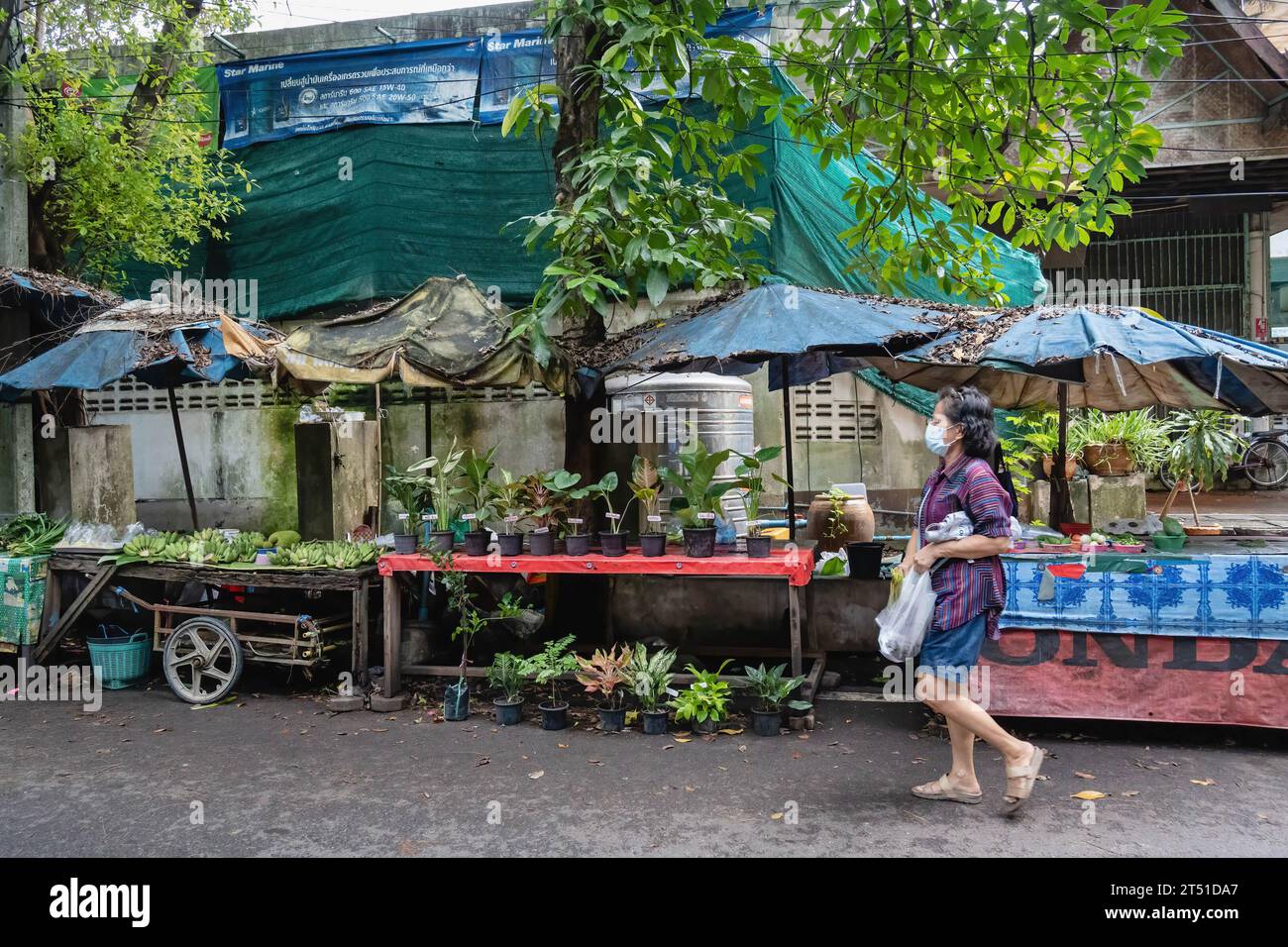 Allgemeiner Blick auf eine der Straßen des Tempels Wat Suan Kaew mit Pflanzenständen zum Verkauf. Der Wat Suan Kaew Temple Market ist ein Second-Hand-Markt für wohltätige Zwecke, der von der Suan Kaew Foundation gegründet wurde, die von Phra Pihisal Dhammaphadi gegründet wurde. dann wenden sie sie um, um Profit zu machen, und spenden sie den Armen, auch einige andere Projekte für soziale Entwicklung, in Nonthaburi, Thailand. Stockfoto