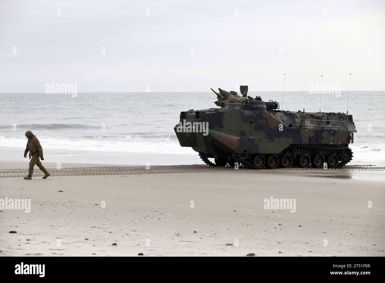 120206HJ844-062 CAMP LEJEUNE, N.C. (6. Februar 2012) Ein US-Marine mit 2nd Assault Amphibian Battalion, 2D Marine Division, führt ein amphibisches Angriffsfahrzeug auf Onslow Beach während der Übung Bold Alligator 2012. Bold Alligator ist die größte amphibische Marine-Übung der letzten 10 Jahre und repräsentiert die Revitalisierung der gesamten Palette der amphibischen Operationen durch das Navy and Marine Corps. Die Übung konzentriert sich auf den heutigen Kampf mit den heutigen Kräften und zeigt die Vorteile des Seabasings auf. Diese Übung findet vom 30. Januar bis zum 12. Februar 2012 über Wasser und an Land in und um Virginia und Nort statt Stockfoto