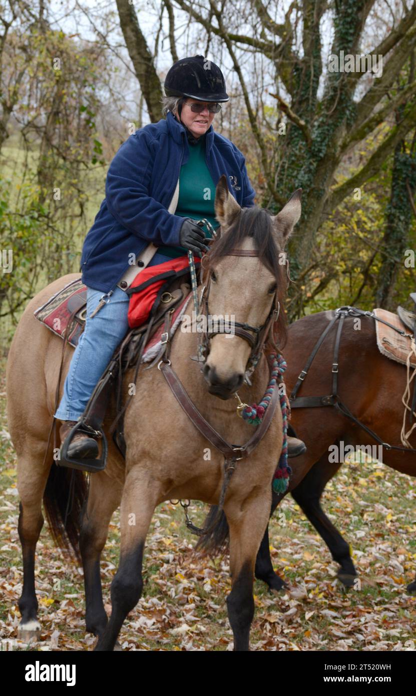 Eine Frau reitet auf einem Pferd auf dem beliebten Virginia Creeper Trail in Abingdon, Virginia. Stockfoto