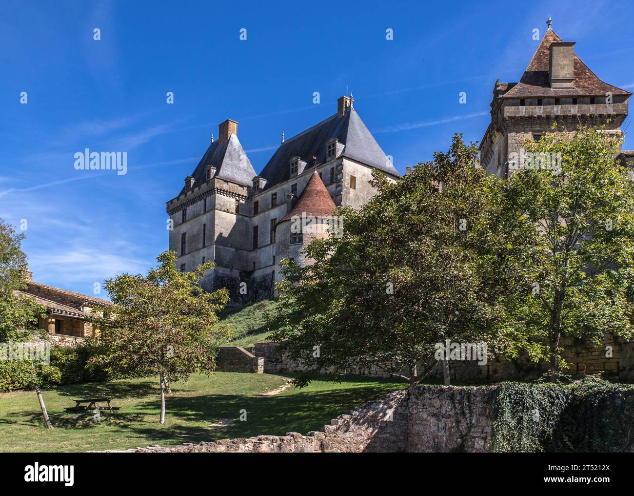 Le château Stockfoto