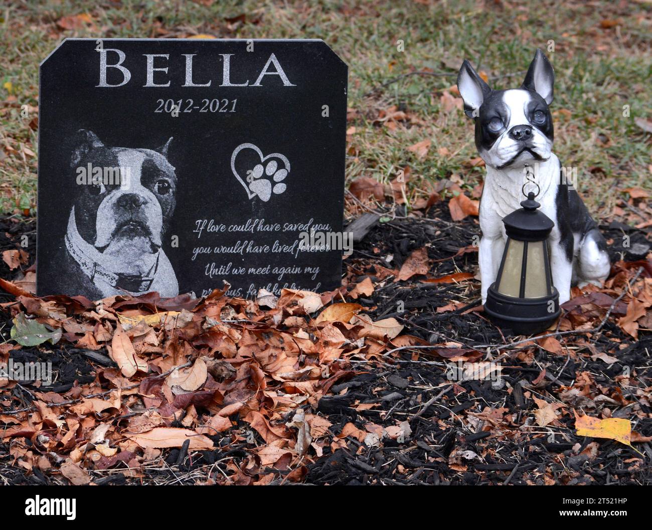 Das Grab eines Familientieres in einem Hinterhof in Abingdon, Virginia. Der Hund war ein Mops namens Bella. Stockfoto