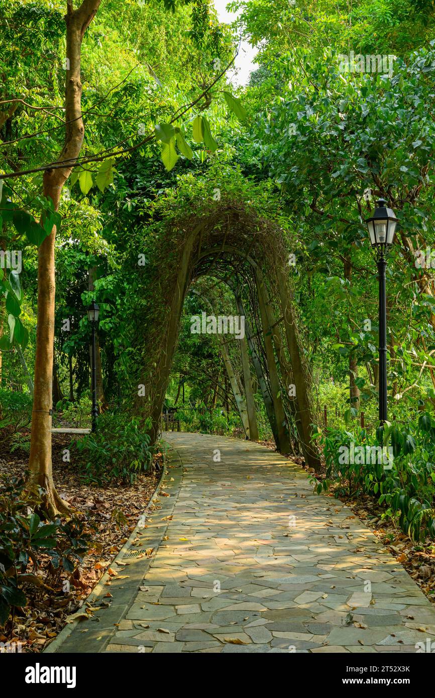 Der Trellis-Garten im Botanischen Garten von Singapur Stockfoto