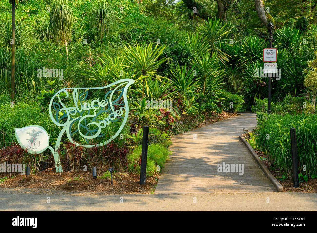 Der Laubgarten im Botanischen Garten von Singapur Stockfoto