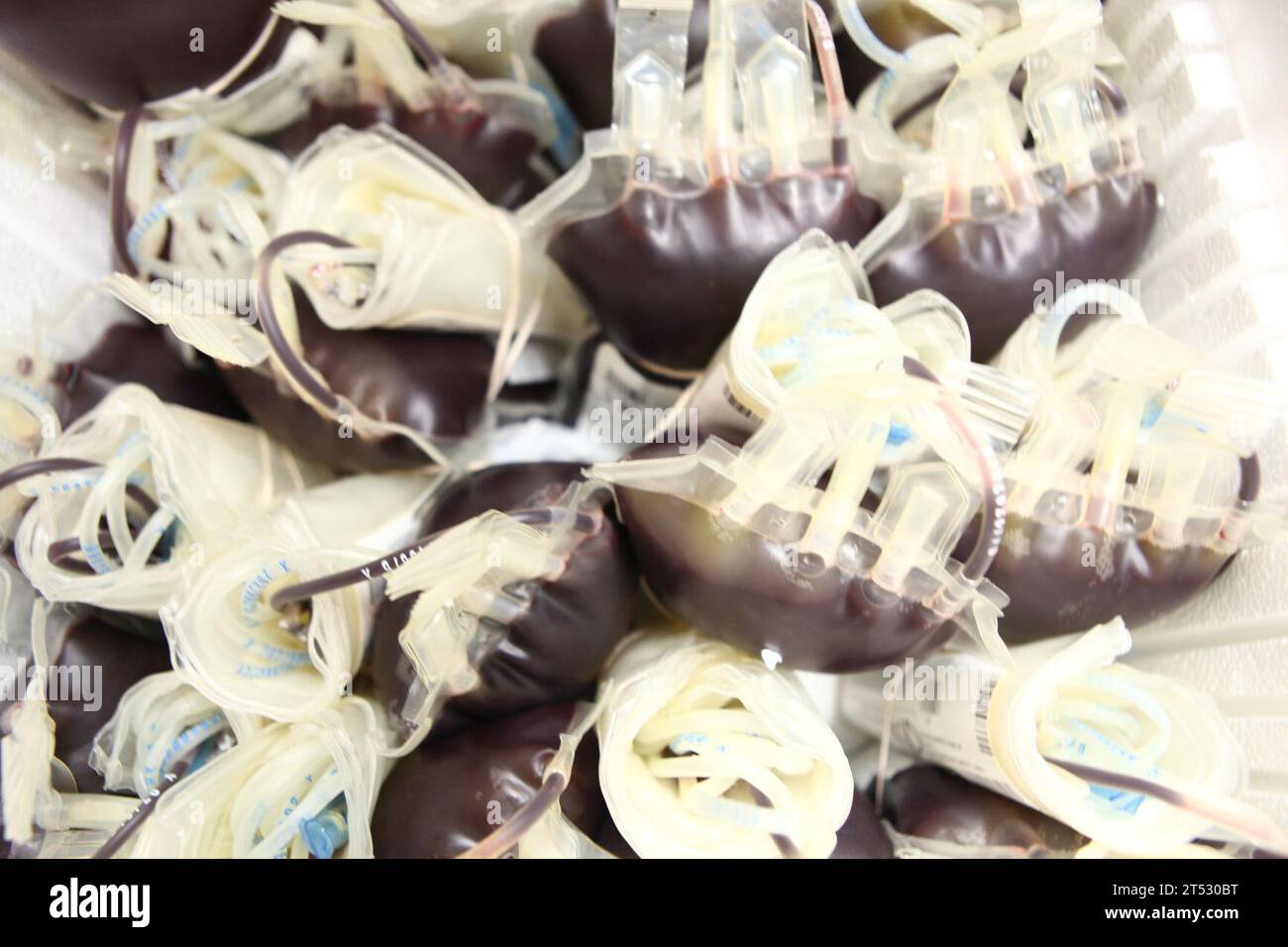 110818IA102-008 CAMP JOHNSON, N.C. (18. August 2011) Blutbeutel von Seeleuten, die dem Field Medical Training Battalion East zugewiesen sind, werden während einer Blutfahrt in Camp Johnson, N.C., im Rahmen des Armed Services Blood Program in einer Kiste aufbewahrt. (U.S. Marine Corps Stockfoto