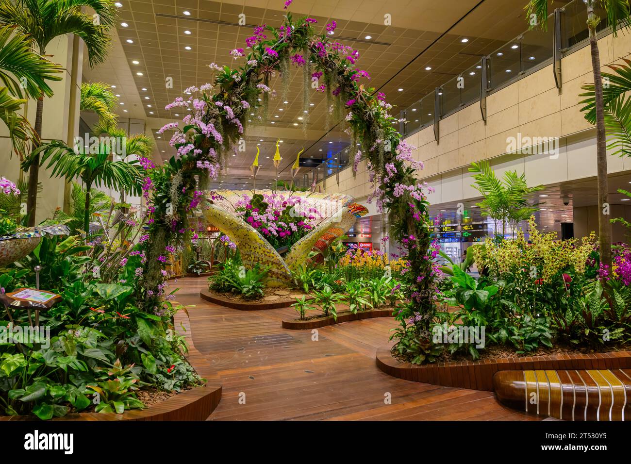 Die Blumenausstellung in Terminal 2 Luftseite, Singapur Changi Airport Stockfoto