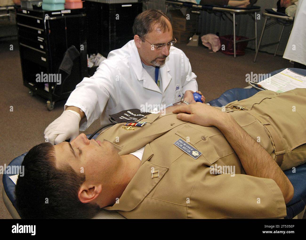 Bangor, Bluttrieb Stockfoto