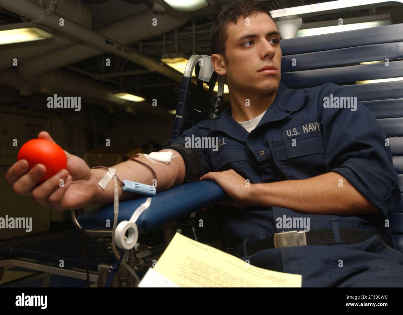Bluttrieb, Sailor, Sailor People, uss theodore roosevelt Stockfoto